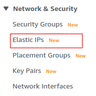 Select "Elastic IPs" under "Network & Security."