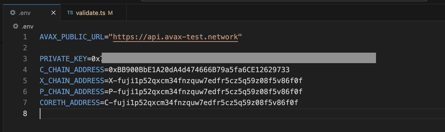 env Variables